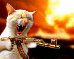 come in, I won't bite !